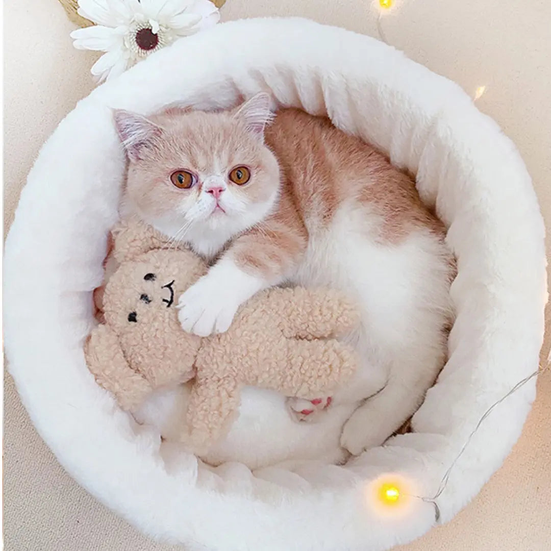 Japanese Style Cat Bed Modern Cozy Cat Sleeping Mat