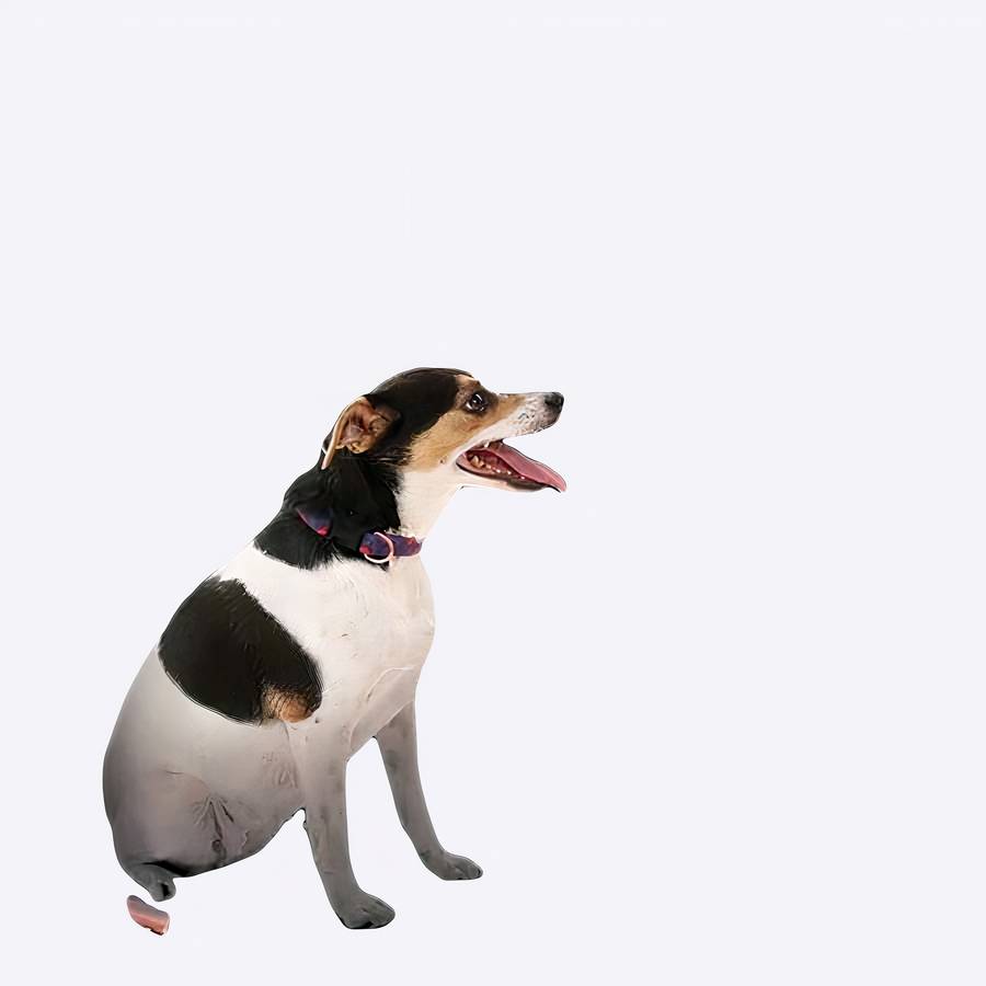 Car Dog Barrier Adjustable Pet Car Divider Fence for Safety