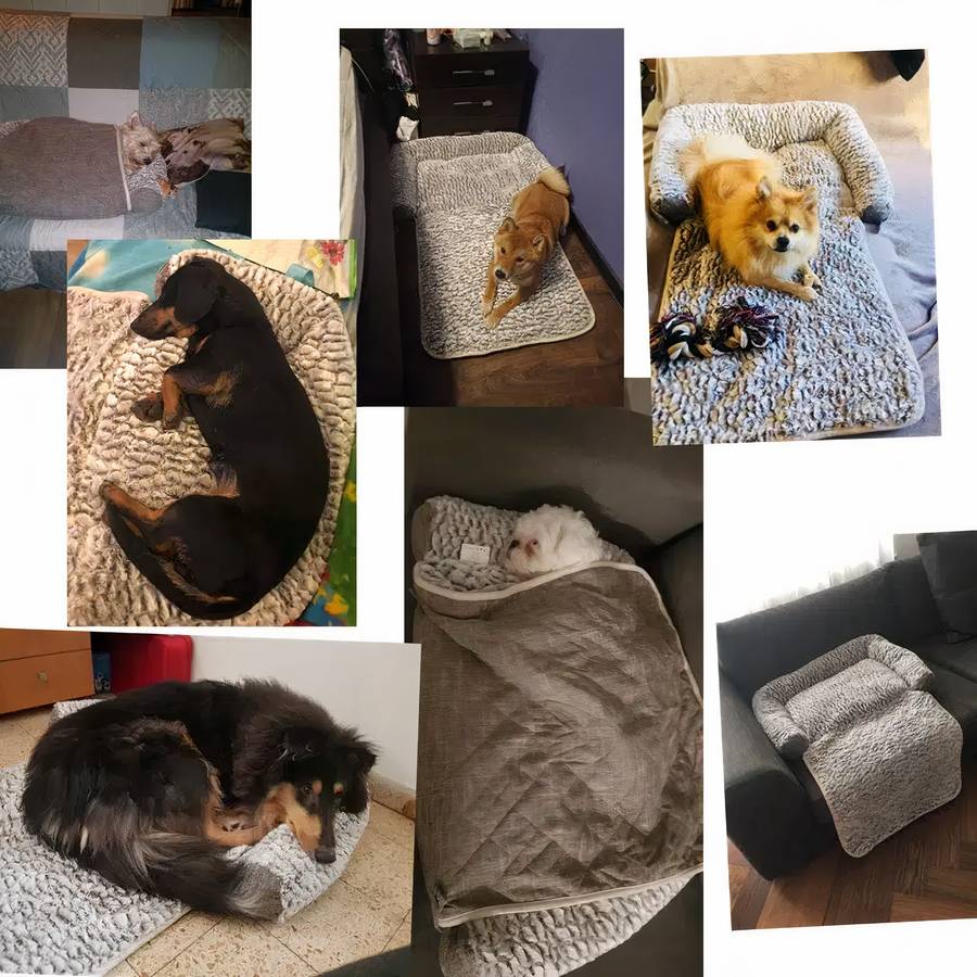 Soft and Cozy Dog Sofa Bed Comfortable Pet Couch for Small and Medium Dogs