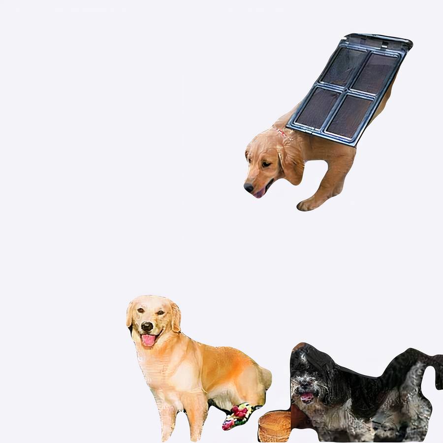 Pet Door for Cats and Dogs Electronic Lockable Pet Flap