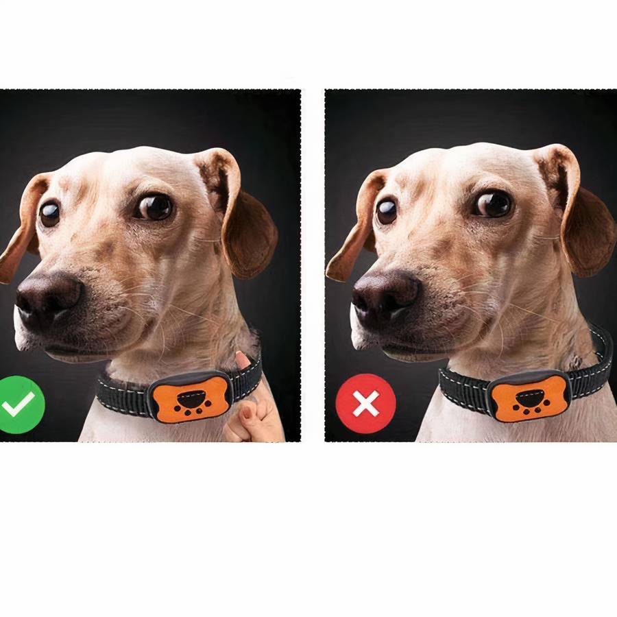 Dog Paw Pattern Bark Control Collar Anti Barking Device