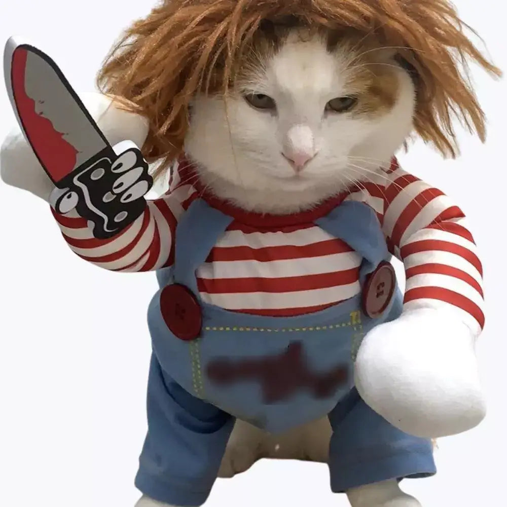 Chucky Cat Halloween Costume for Kids and Adults