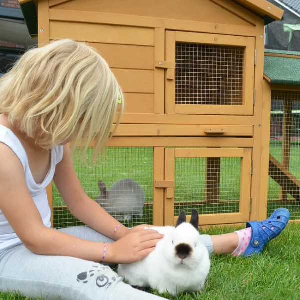 Rabbit Hutch Cage with Run Enclosure 57x21x34 Inch Outdoor Bunny House Villa