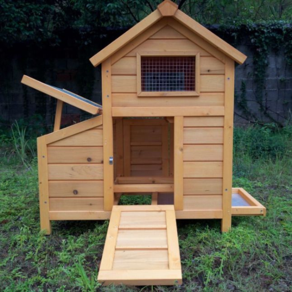 Chicken Coop Large - Fits 1 to 2 Hens - Shingle Roof