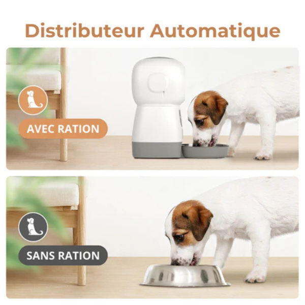 Automatic Dog and Cat Food Dispenser for Dry Kibble