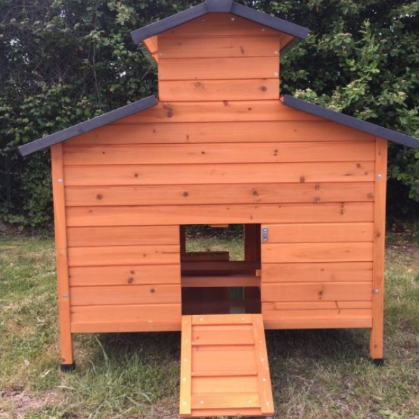 Chicken Coop for 4 to 6 Hens FSC Certified Wood with Opening Roof