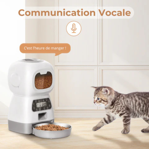 Automatic Dog and Cat Food Dispenser for Dry Kibble