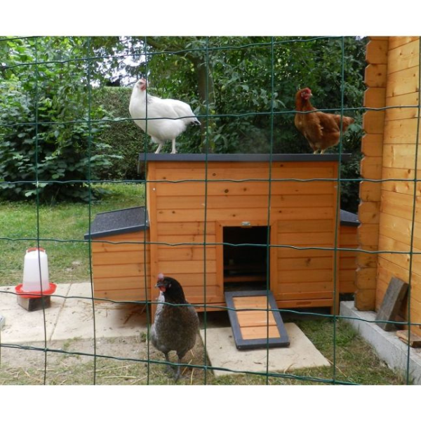 FSC Certified Wooden Chicken Nesting Box 2 Compartments for Coop