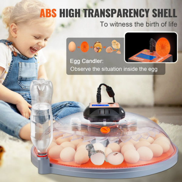 Automatic Egg Incubator with Automatic Turning - 48 Eggs Capacity - Temperature and Humidity Control