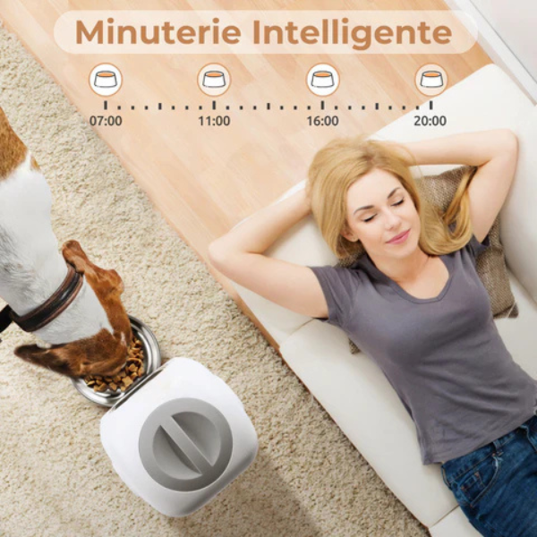 Automatic Dog and Cat Food Dispenser for Dry Kibble