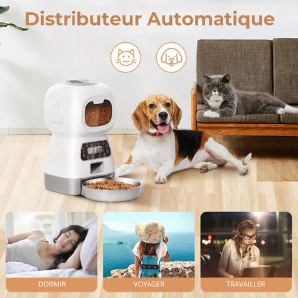 Automatic Dog and Cat Food Dispenser for Dry Kibble