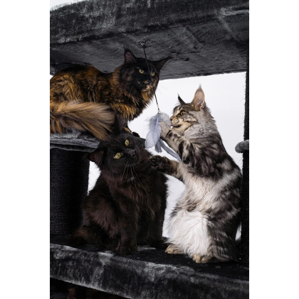 Giant XXL Cat Tree 19in x 69in Premium Multi-Level Cat Tower