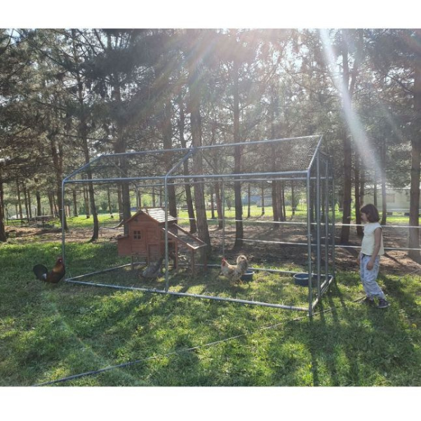 8sqm Chicken Run 32mm Tubes 7.4ft High Reinforced Wire Mesh Enclosure 4x6.5ft Galvanized Steel