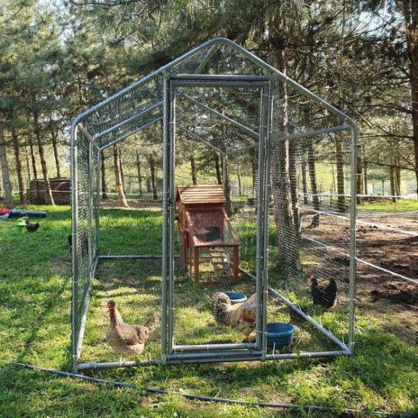 8sqm Chicken Run 32mm Tubes 7.4ft High Reinforced Wire Mesh Enclosure 4x6.5ft Galvanized Steel