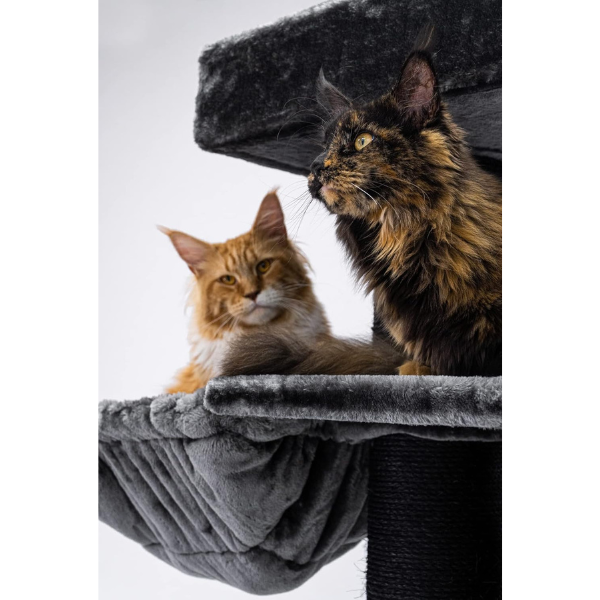 Giant XXL Cat Tree 19in x 69in Premium Multi-Level Cat Tower