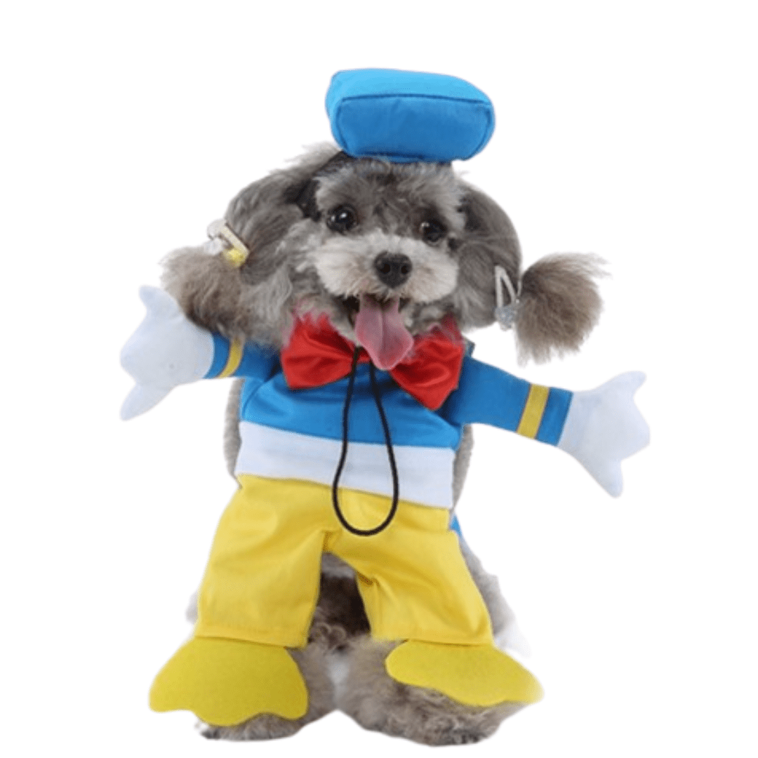 Donald Costume for Dogs and Cats Pet Halloween Outfit