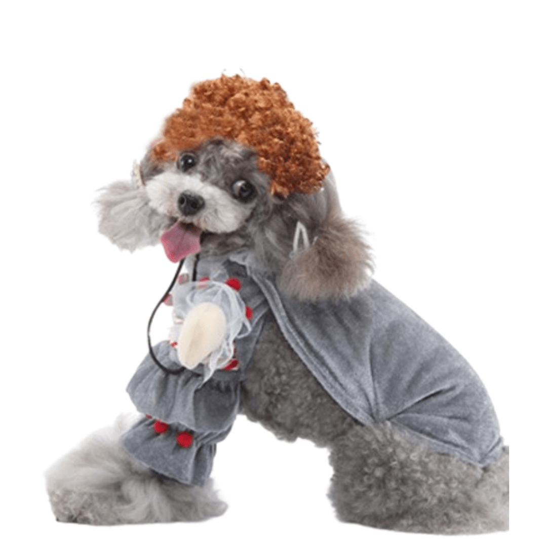 Flu Costume for Cats and Dogs Sick Pet Outfit Cute Illness Halloween Costume
