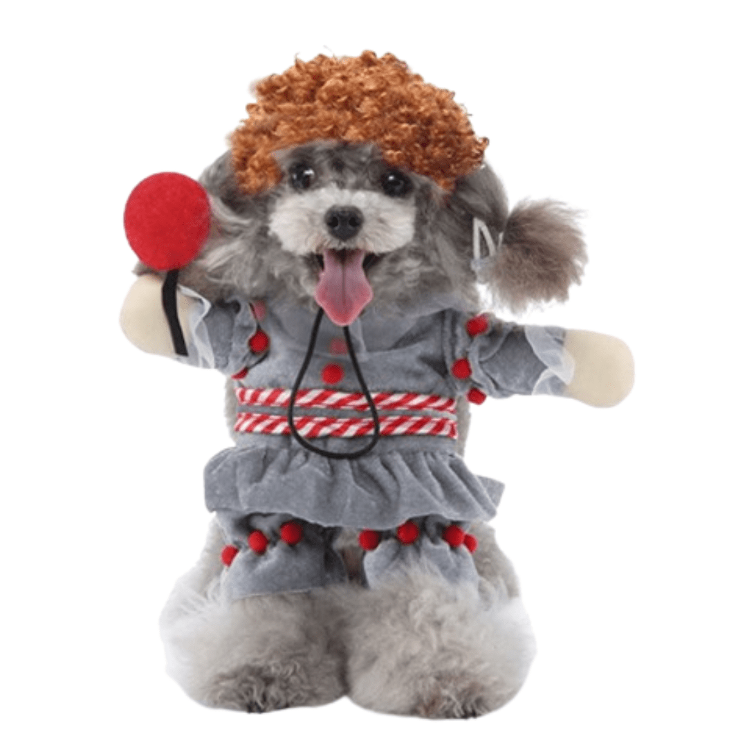 Flu Costume for Cats and Dogs Sick Pet Outfit Cute Illness Halloween Costume