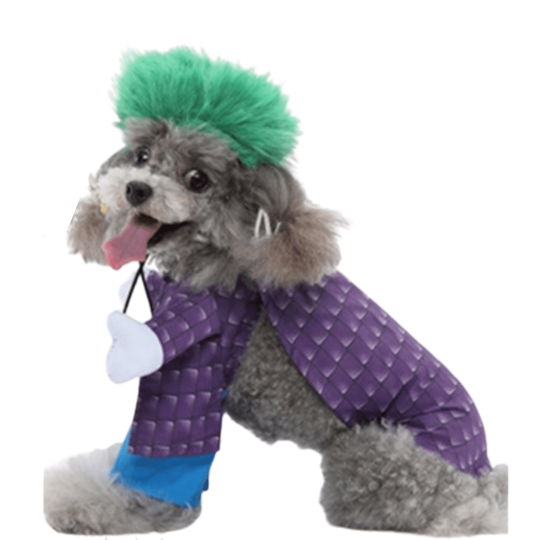 Joker Costume for Cats and Dogs Pet Halloween Outfit