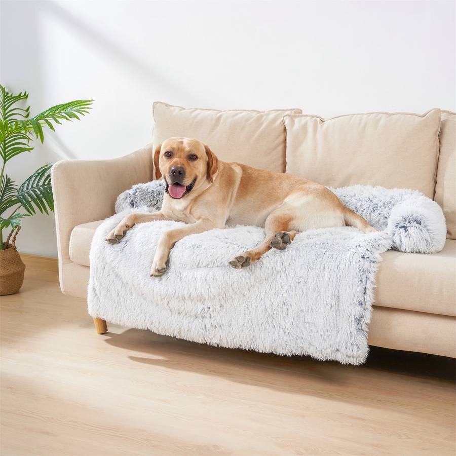 Super Comfortable Next Generation Dog Bed