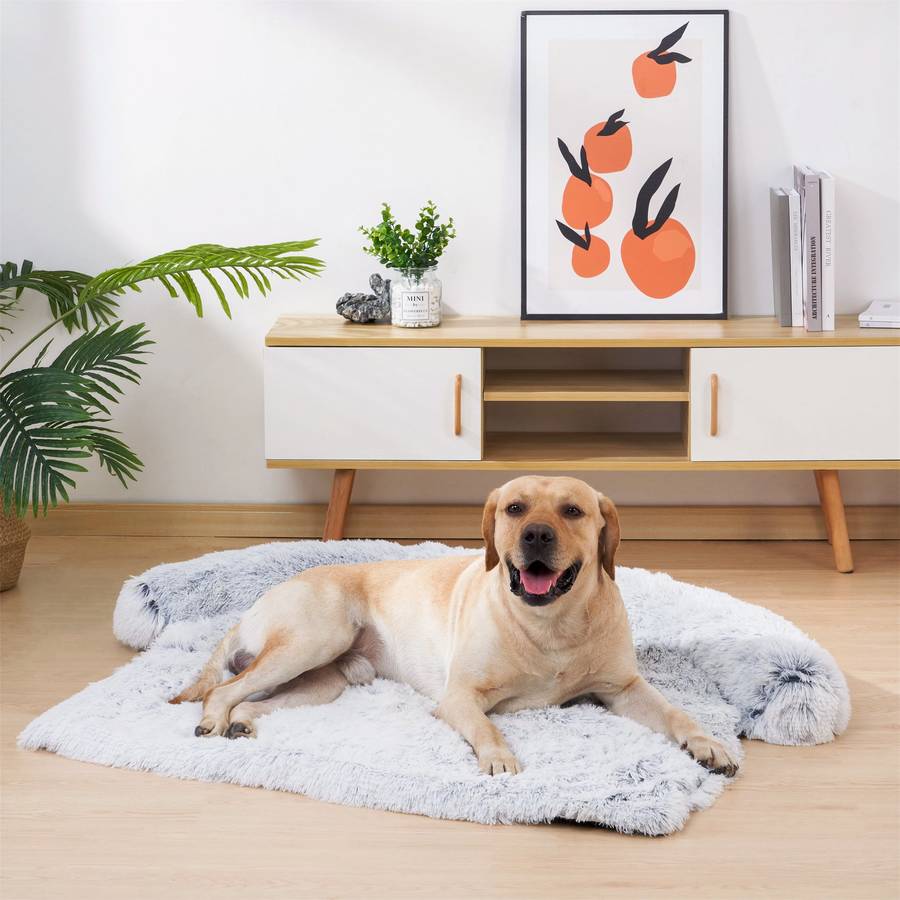 Super Comfortable Next Generation Dog Bed