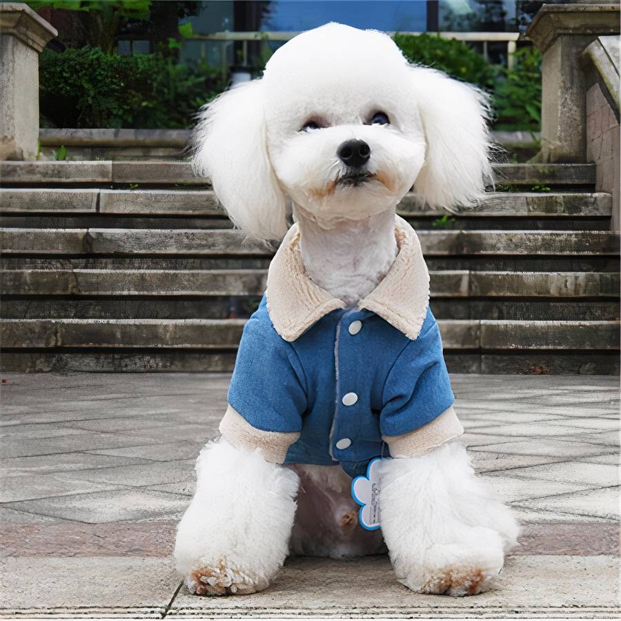 Winter Dog Coat Denim Jacket Warm Outerwear for Small Medium Large Dogs