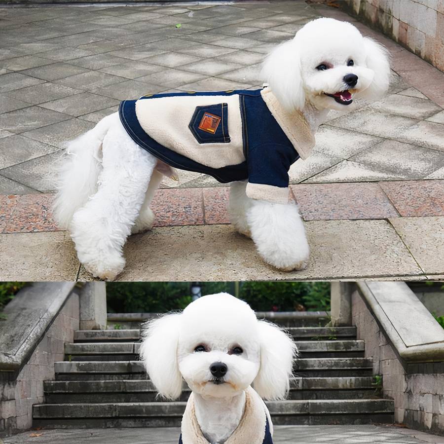 Winter Dog Coat Denim Jacket Warm Outerwear for Small Medium Large Dogs