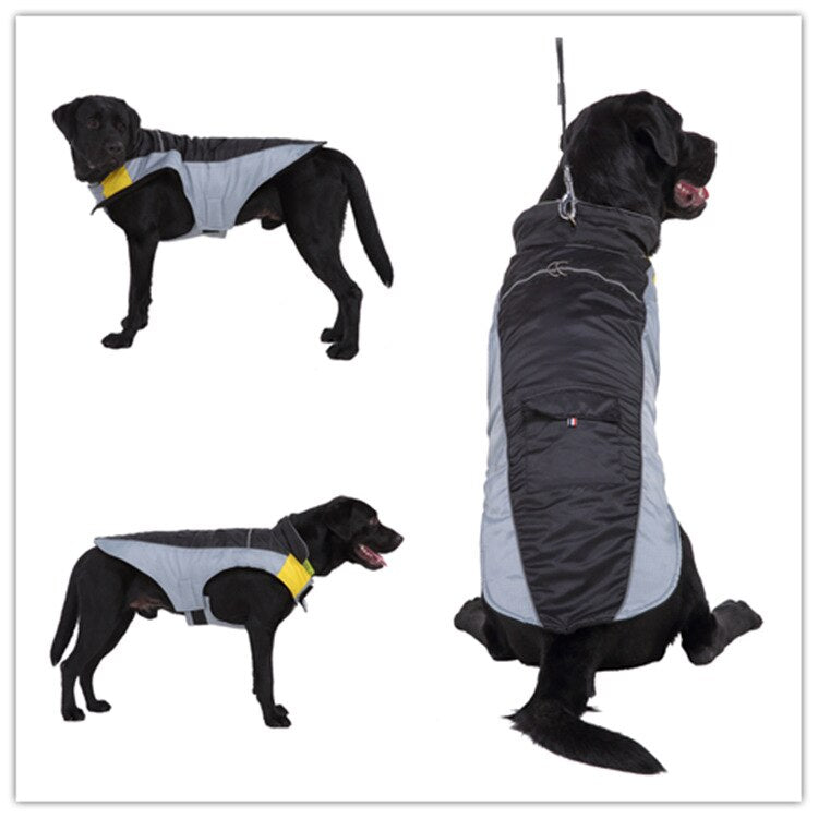 Waterproof Two-Tone Fleece Jacket