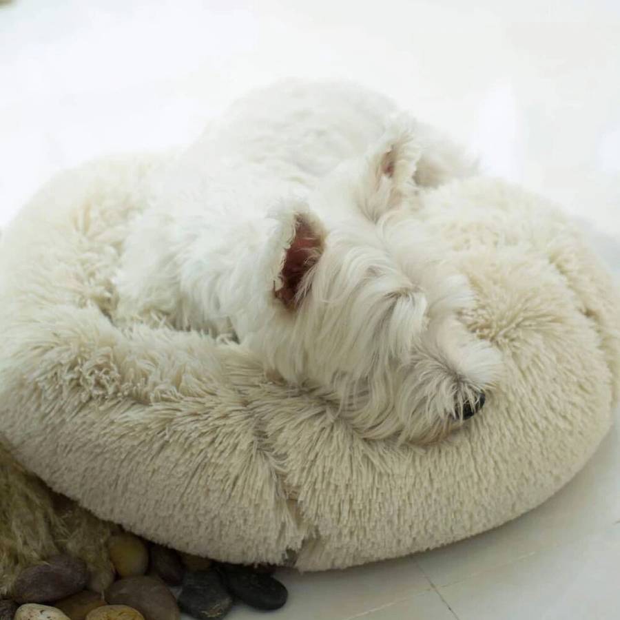 Ultra Soft Fleece Pet Bed Plush Cozy Dog Cat Basket