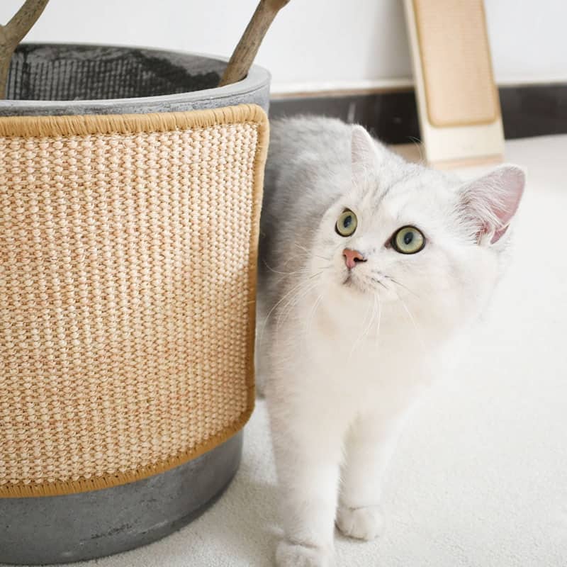 Cat Scratching Mat with Catnip and Sisal for Cats and Kittens