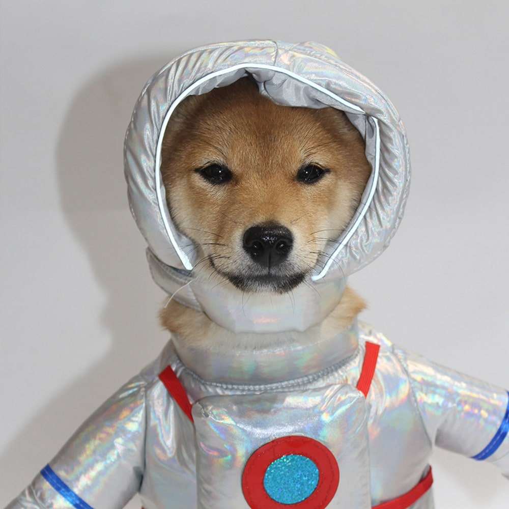 Astronaut Costume for Dogs and Cats Pet Space Suit Halloween Outfit