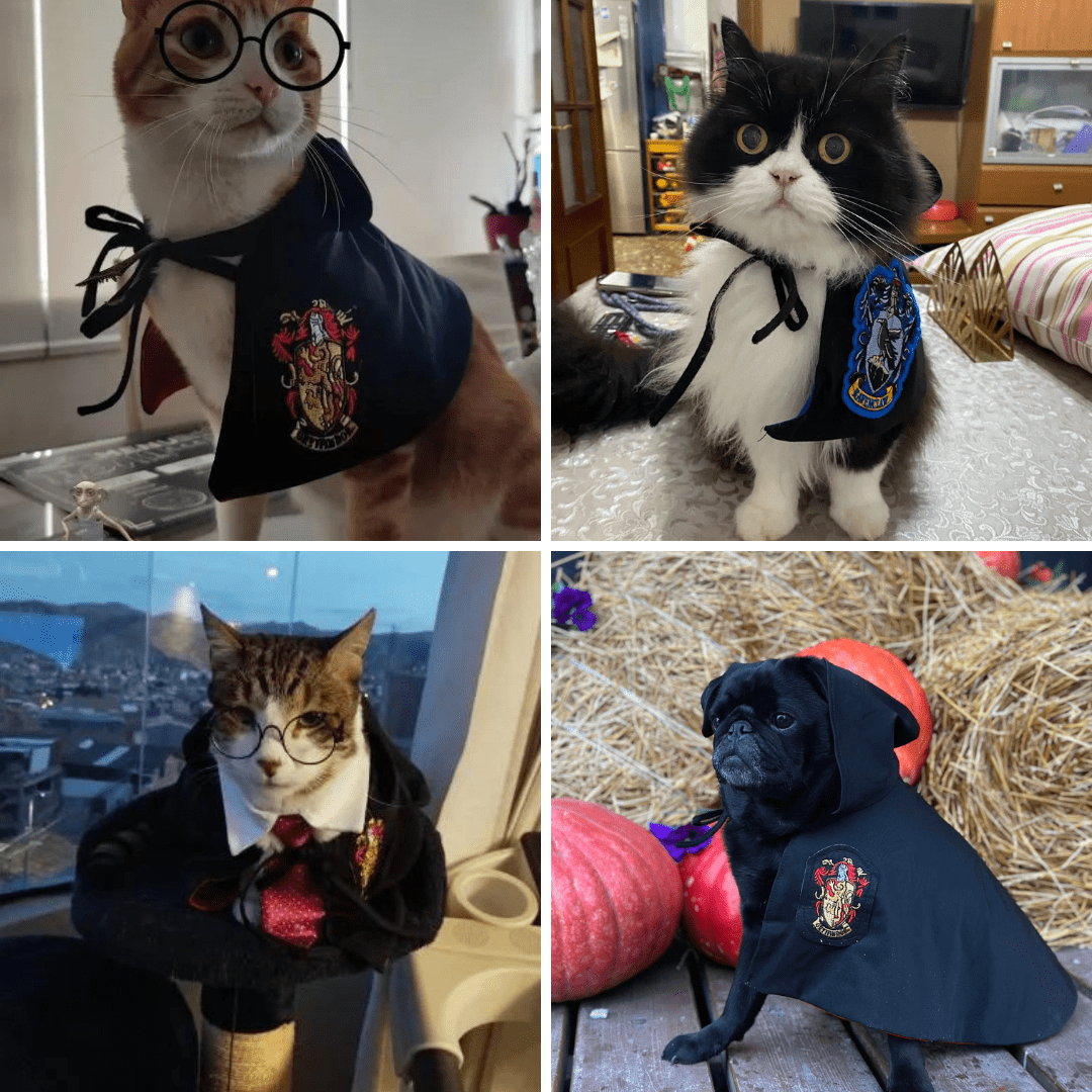 Harry Potter Cape Costume for Dogs and Cats Magical Pet Outfit
