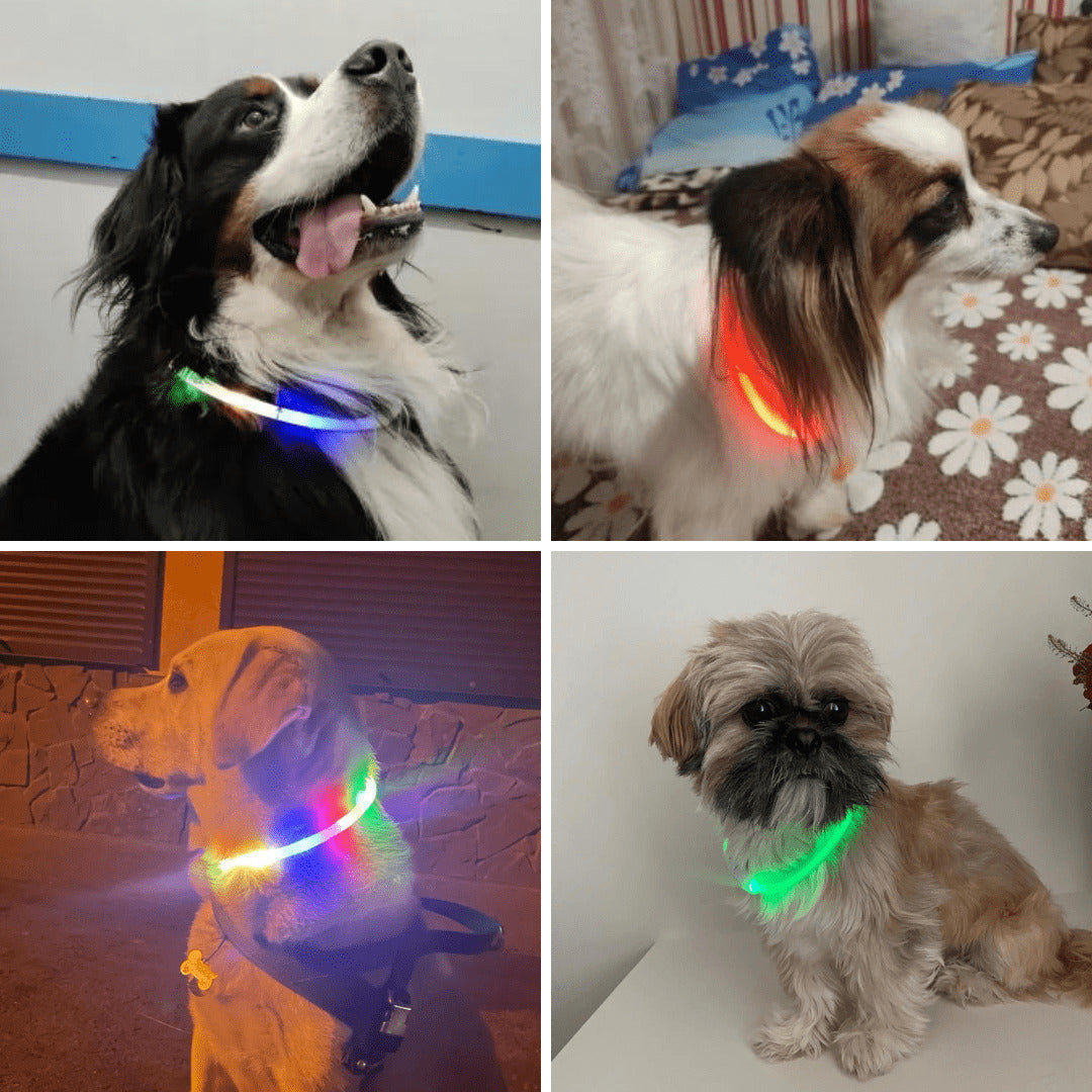 LED Dog Collar Bright Light Safety Night Running Adjustable Pet Collar
