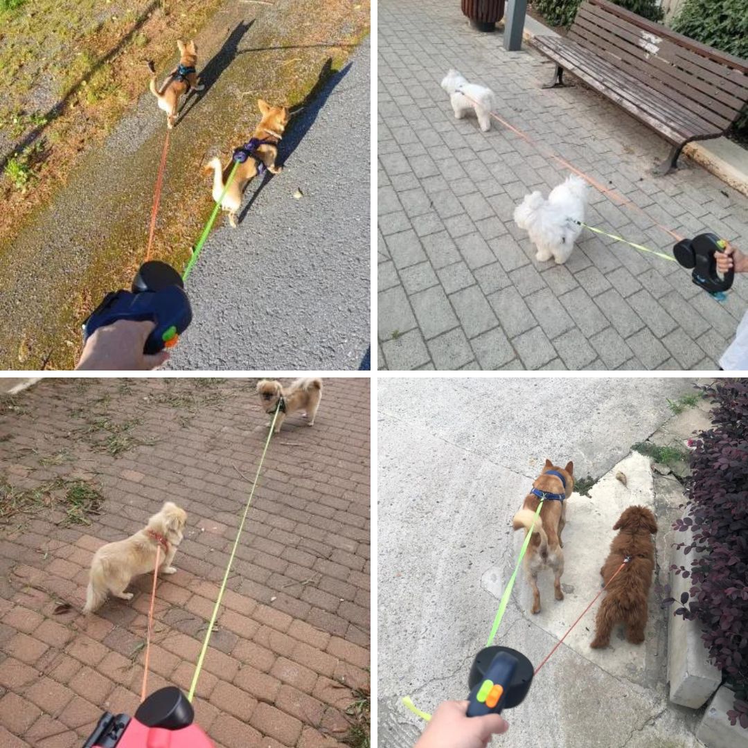 Double Retractable Dog Leash with LED Light