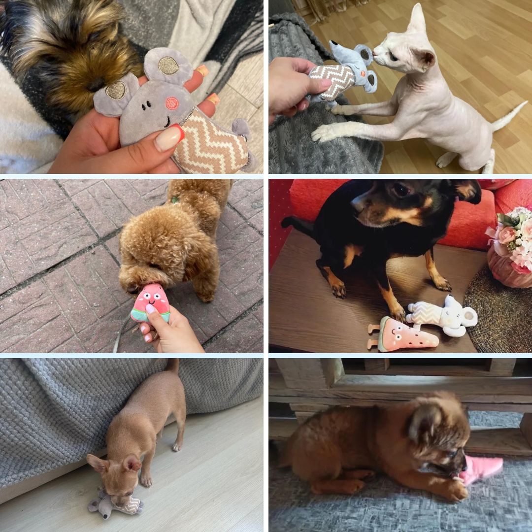 Mini Plush Cat Toys 2nd Edition