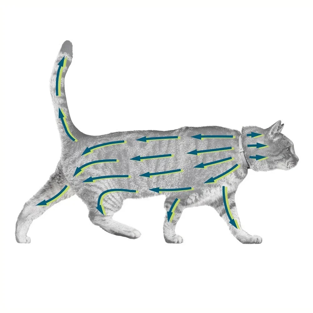 Natural Flea Collar for Cats Flea and Tick Prevention