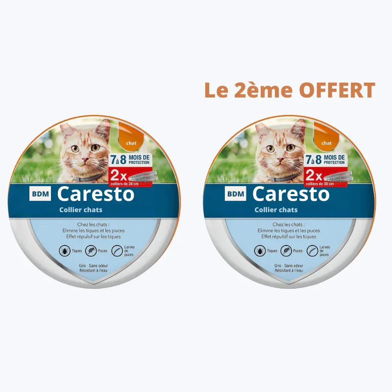 Natural Flea Collar for Cats Flea and Tick Prevention