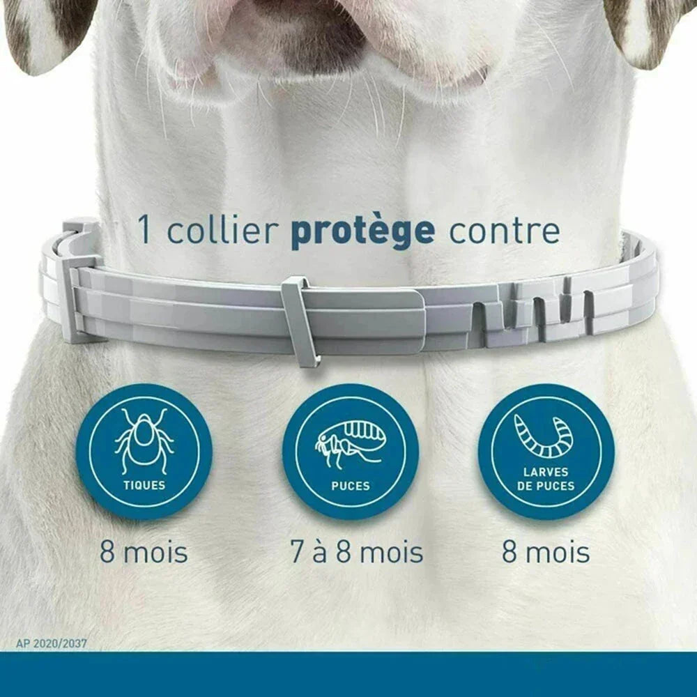 Natural Flea Collar for Cats Flea and Tick Prevention