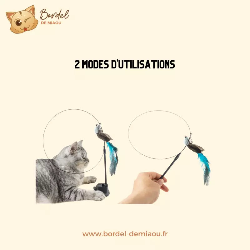 Feather Cat Toy Interactive Cat Teaser for Cats and Kittens