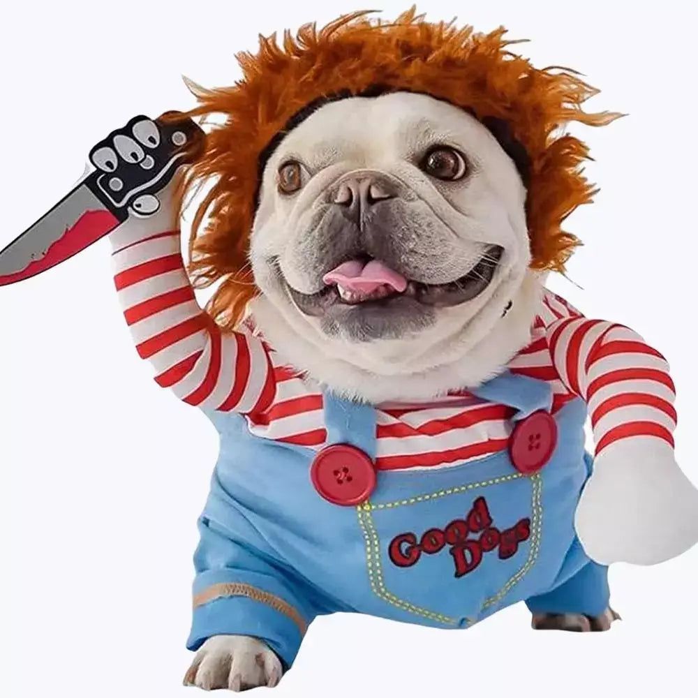 Chucky Cat Halloween Costume for Kids and Adults
