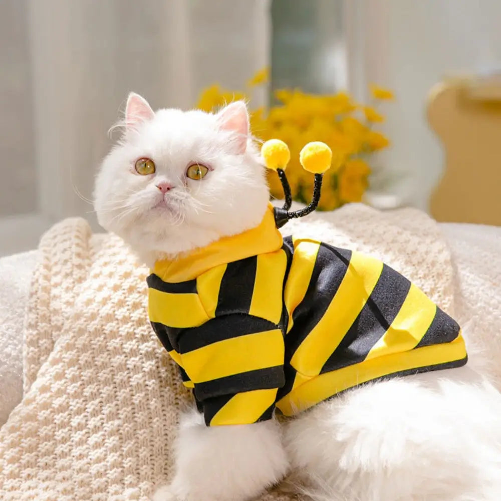 Cute Cat Hoodie Costume for Kids and Adults Animal Onesie Pajamas
