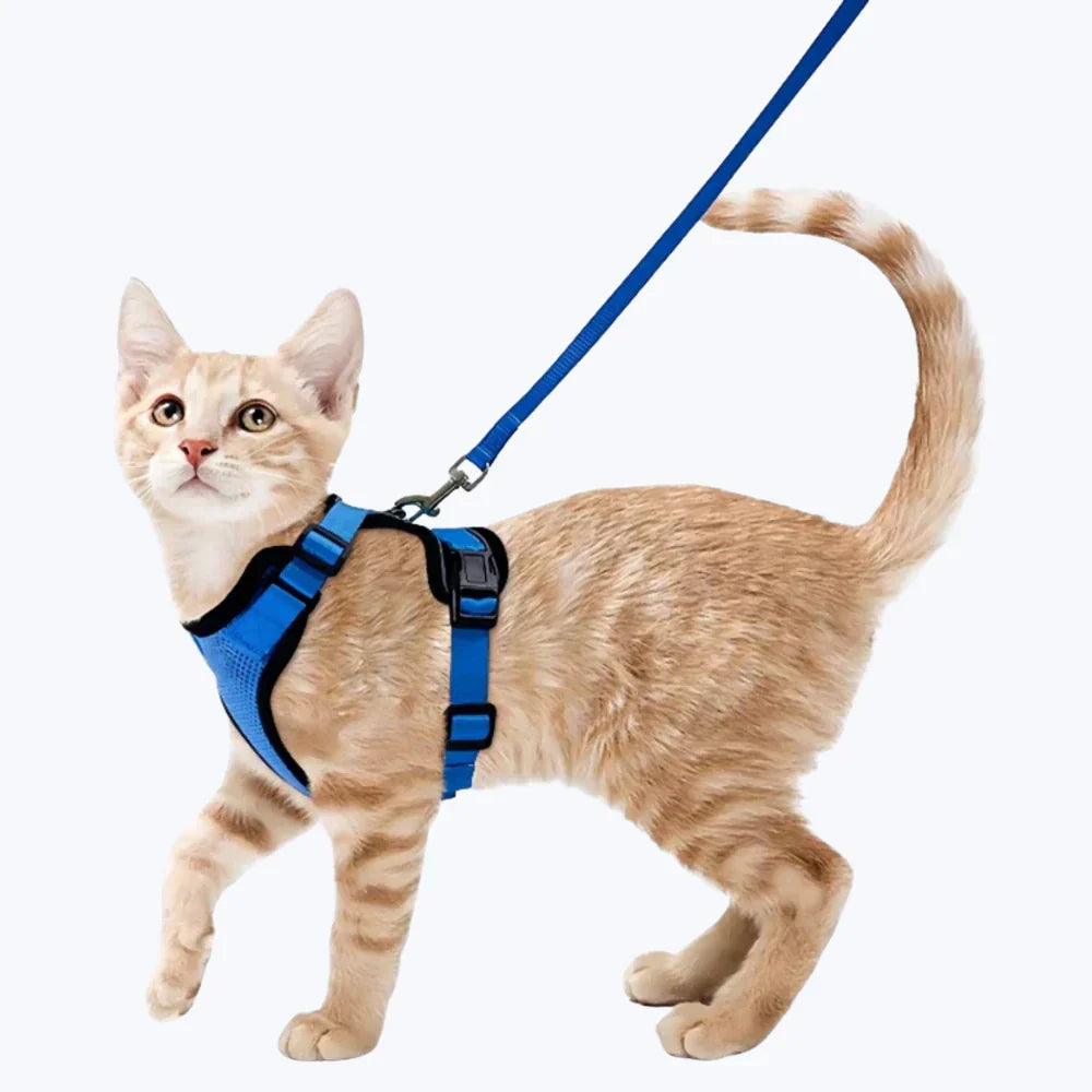 Cat Escape Proof Harness Adjustable Safety Vest