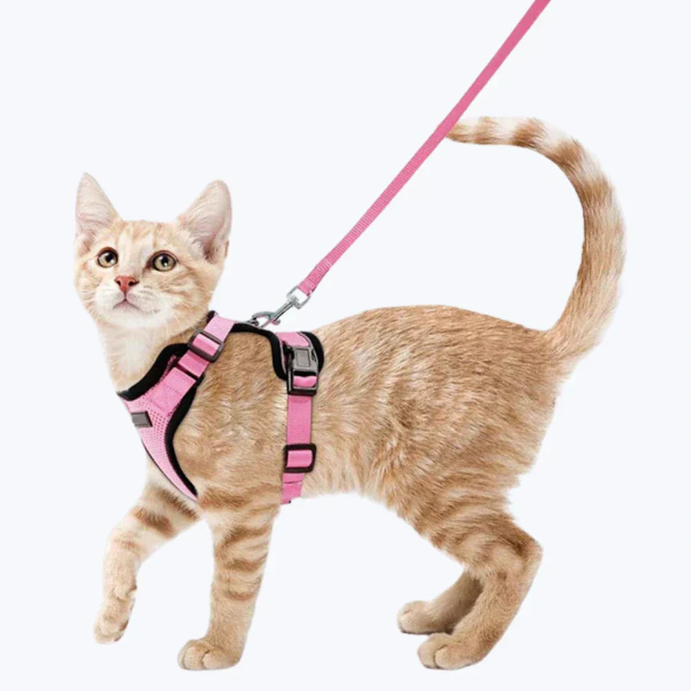 Cat Escape Proof Harness Adjustable Safety Vest