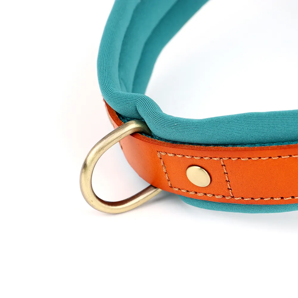 Dog T Harness Adjustable No Pull Pet Walking Harness