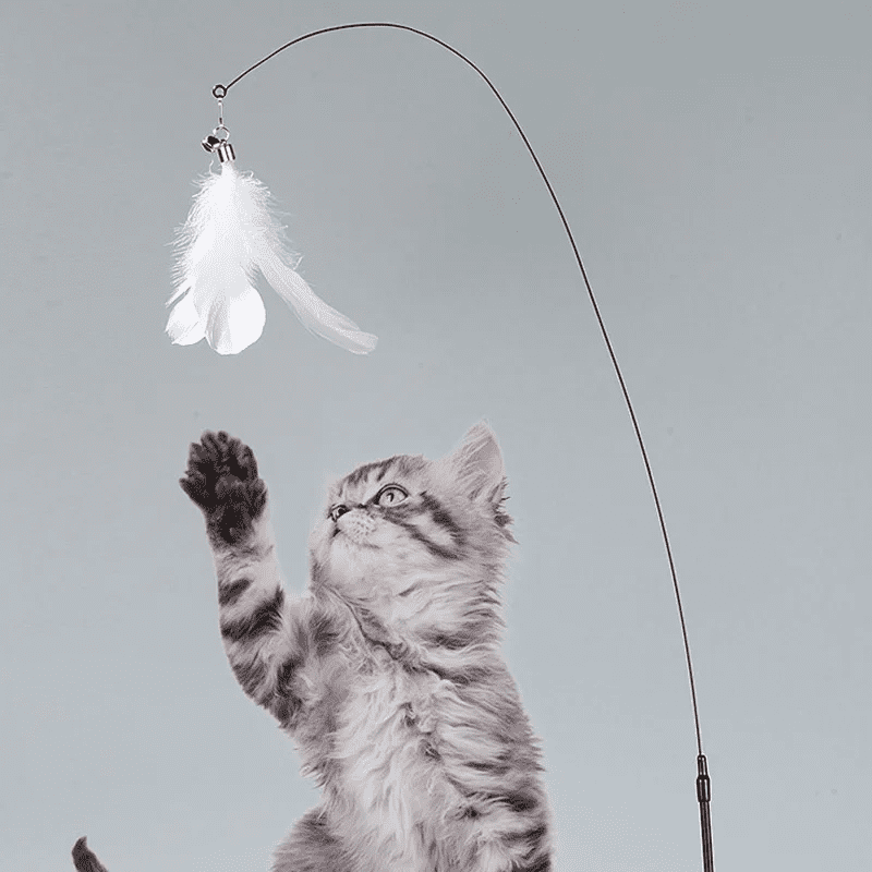 Cat Fishing Pole Toy with Suction Cup for Interactive Play