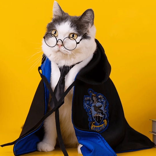 Harry Potter Cape Costume for Dogs and Cats Magical Pet Outfit