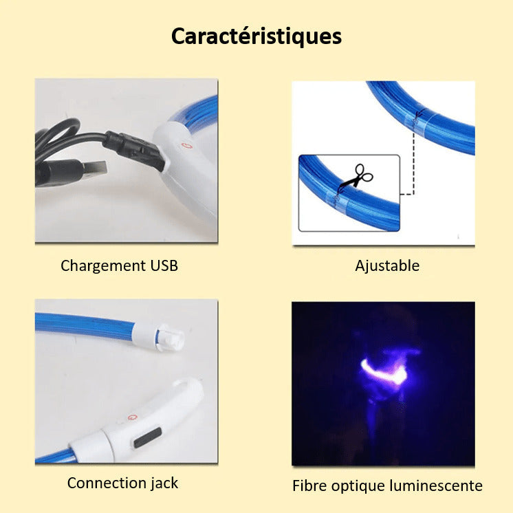 LED Dog Collar Bright Light Safety Night Running Adjustable Pet Collar