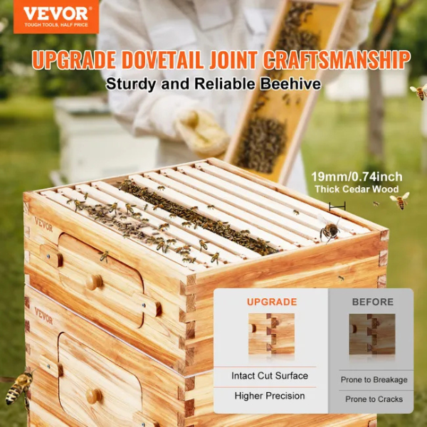 Ruche d'abeilles - 40 cadres - bois de cèdre enduit cire d'abeille