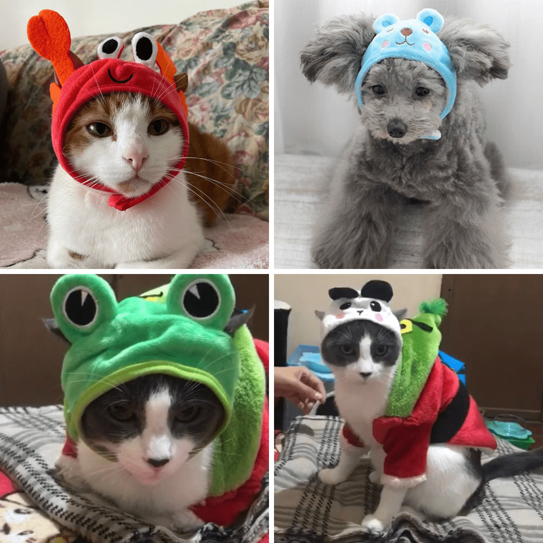 Animal Shaped Cat Hat Cute Kitty Costume Pet Accessory