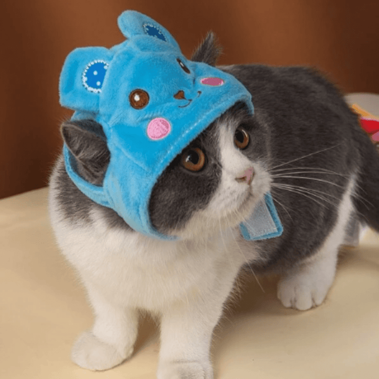 Animal Shaped Cat Hat Cute Kitty Costume Pet Accessory
